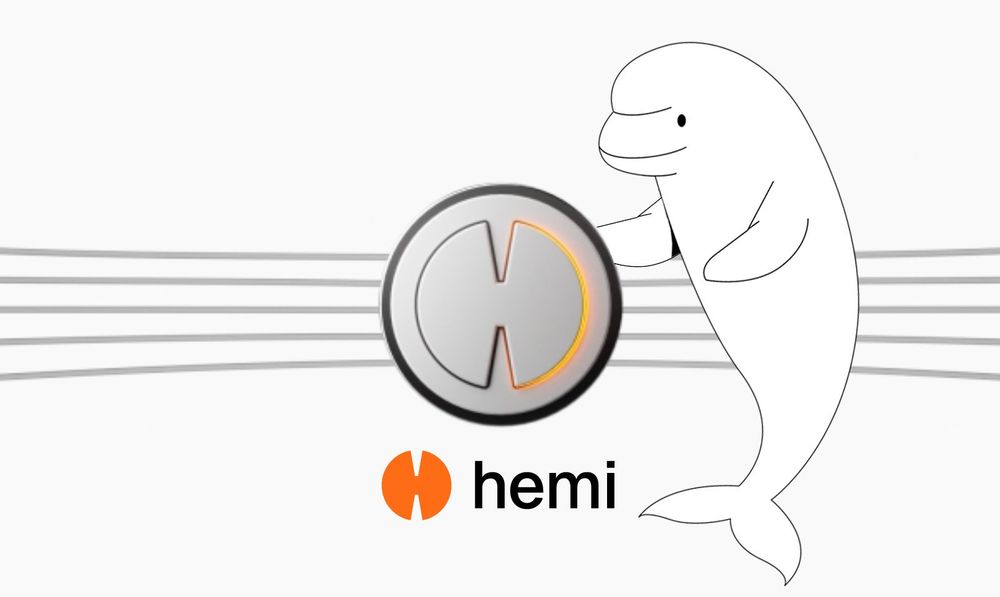 Image for An Overview of the Hemi Network