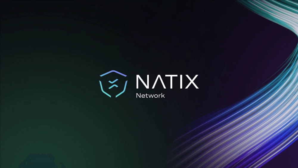 Image for Natix Network: Revolutionizing Crowd-Sourced Mapping 